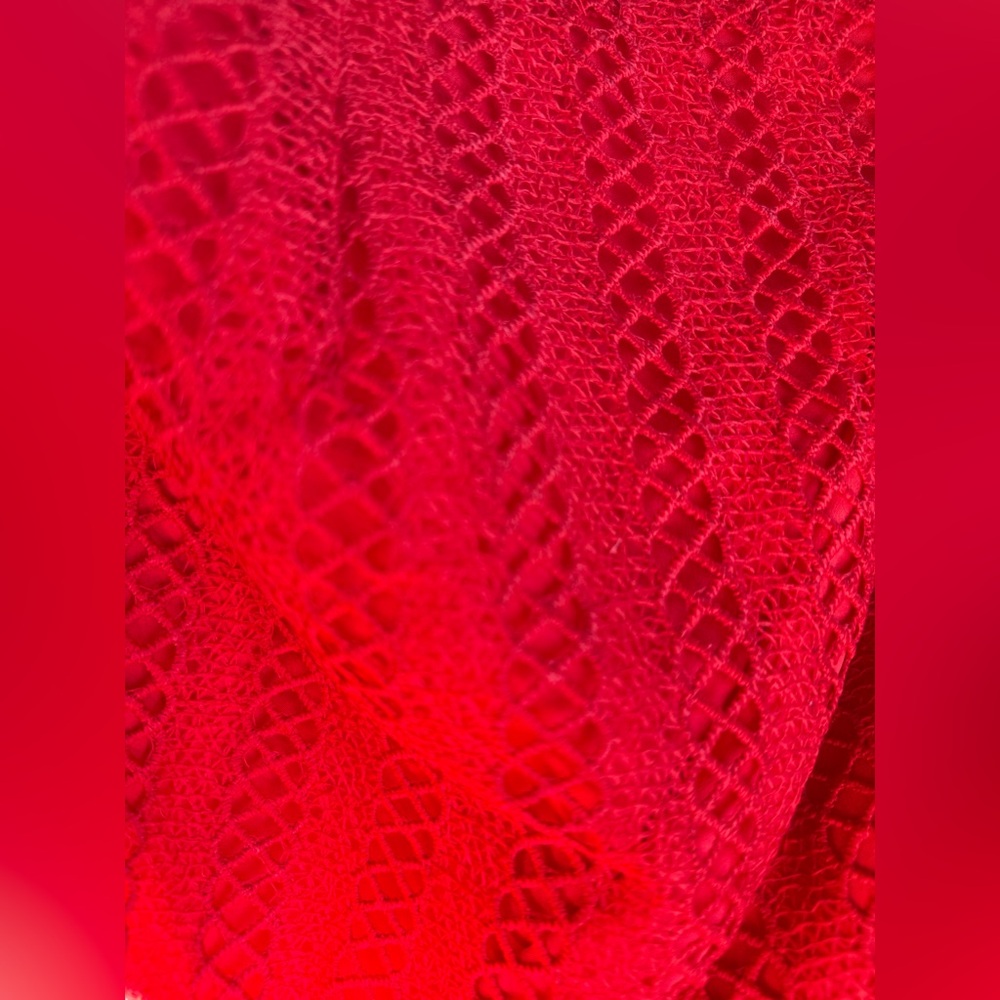 Lovers + Friends Vibrant Red Floral Mini Skirt
Womens lace Fringe Sz s - Picture 6 of 7